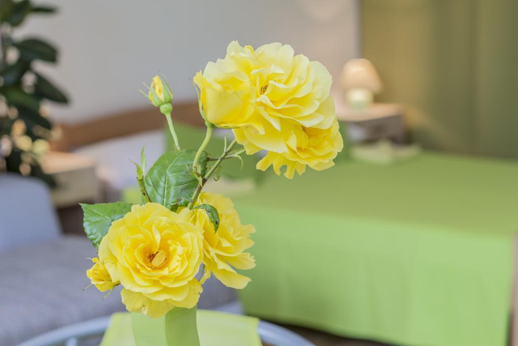 Pula Istria Apartments 外观 照片