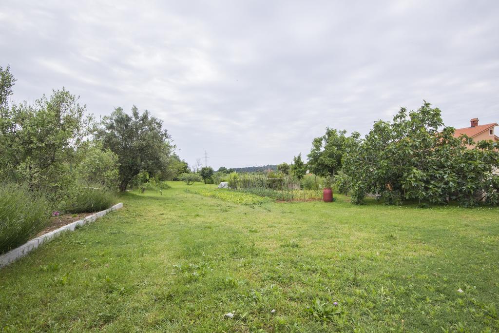 Pula Istria Apartments 外观 照片
