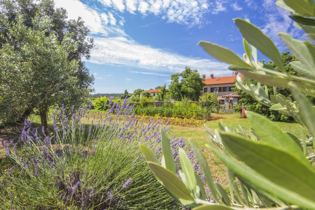 Pula Istria Apartments 外观 照片